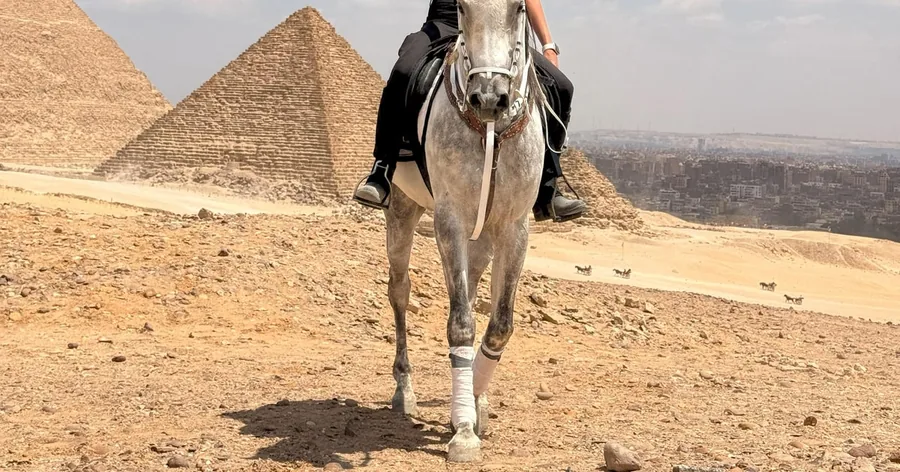 فارس على حصان أبيض فوق الهضبة الرملية، وأهرامات الجيزة خلفه